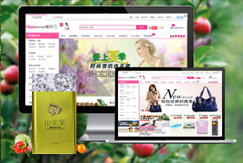 ���ڳ������̳�